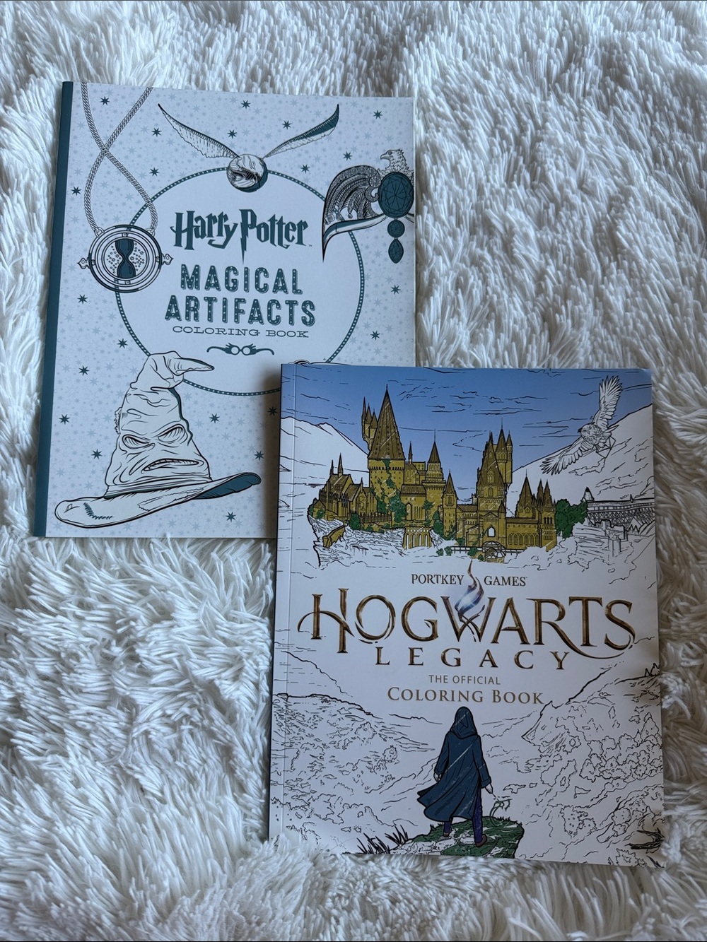 Set of 2 Harry Potter Coloring Books